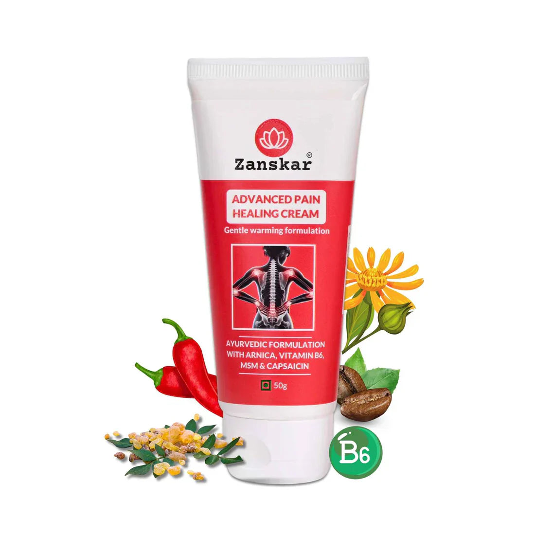 ZANSKAR Natural & Advanced Pain Healing Cream (50g) | Deep Relief For All Body Parts